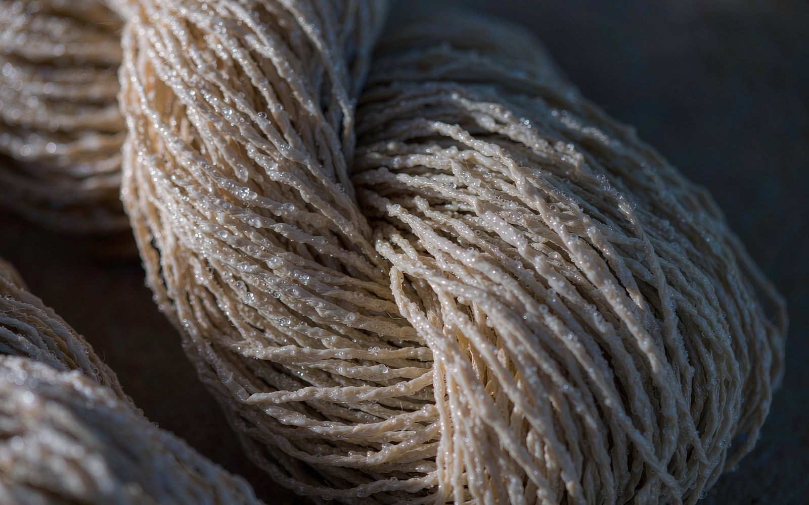 Macro of natural fibres holding a fine film of moisture, cold winter light